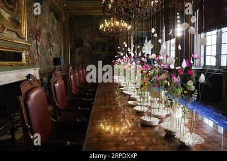 (190814) -- BRUXELLES, le 14 août 2019 -- Une œuvre florale est vue le premier jour de l'exposition Flowertime à l'Hôtel de ville de Bruxelles, Belgique, le 14 août 2019. Un été sur deux, en alternance avec le tapis de fleurs de la Grand place, la Mairie de Bruxelles reçoit Flowertime. Cette année, au cours de cet événement de cinq jours, des artistes floraux de nombreux pays et régions utilisent plus de 100 000 fleurs pour décorer les salles historiques de l'Hôtel de ville.) BELGIQUE-BRUXELLES-FLOWERTIME-EXPOSITION ZhengxHuansong PUBLICATIONxNOTxINxCHN Banque D'Images