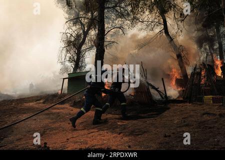 (190815) -- ATHÈNES, 15 août 2019 (Xinhua) -- des pompiers éteignent un incendie dans le village de Makrymalli, sur l'île d'Evia, Grèce, le 14 août 2019. Au milieu des efforts en cours pour éteindre un feu de forêt destructeur, le Premier ministre grec Kyriakos Mitsotakis a appelé mercredi à une coopération renforcée entre les membres de l’Union européenne (UE) pour faire face aux futures catastrophes naturelles. Il a fait l'appel lors d'une visite sur l'île d'Evia, ravagée par le feu. Attisées par des vents forts, les flammes ont menacé des villages à quelque 80 kilomètres au nord-est d’Athènes, forçant l’évacuation de centaines d’habitants mardi. (Photo de Nick Paleologo Banque D'Images