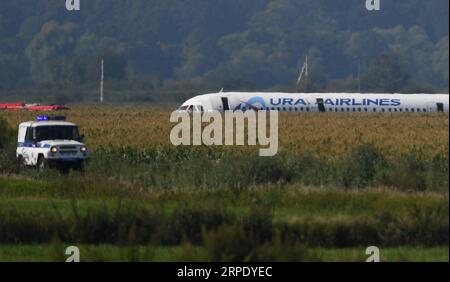 (190815) -- MOSCOU, 15 août 2019 -- la photo prise le 15 août 2019 montre l'Airbus A321 qui a atterri brutalement près de l'aéroport international Zhukovsky, au sud-est de Moscou, en Russie. Un avion Airbus avec plus de 200 passagers à bord a atterri d'urgence jeudi près de Moscou peu après son décollage, blessant 23 personnes, dont cinq enfants, ont indiqué les autorités. Le vol A321 d'Ural Airlines a effectué un atterrissage brutal près de l'aéroport international de Zhukovsky, au sud-est de Moscou, après que ses moteurs aient été frappés par des oiseaux, a déclaré l'agence de presse fédérale du transport aérien de Russie. (/Han Banque D'Images