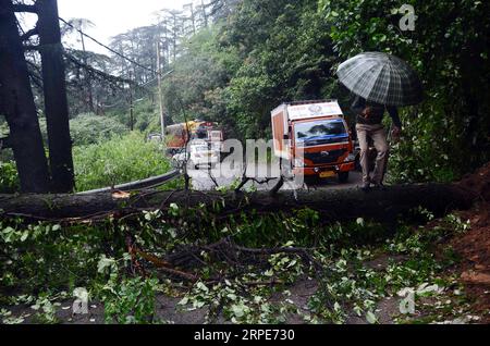 (190820) -- HIMACHAL PRADESH, 20 août 2019 () -- des arbres déracinés bloquent la route en raison d'un glissement de terrain après une forte pluie près du site touristique Shimla dans l'Himachal Pradesh, Inde, le 18 août 2019. Plus de 40 personnes sont mortes dans des incidents liés à la pluie dans les États du nord de l Inde, à savoir l Himachal Pradesh, l Uttarakhand et le Punjab, au cours des dernières 24 heures, ont indiqué les médias lundi. (/Stringer) INDE-HIMACHAL PRADESH-INONDATIONS Xinhua PUBLICATIONxNOTxINxCHN Banque D'Images