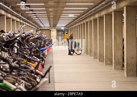 (190820) -- LA HAYE, 20 août 2019 -- Une femme est sur le point de garer son vélo dans un nouveau parking à vélo à Utrecht, pays-Bas, 19 août 2019. Couvrant une superficie de 17 100 mètres carrés, le garage de trois étages dispose de 12 500 places de stationnement. (Photo de Sylvia Lederer/Xinhua) PAYS-BAS-UTRECHT-GARAGE POUR VÉLOS WangxYanan PUBLICATIONxNOTxINxCHN Banque D'Images