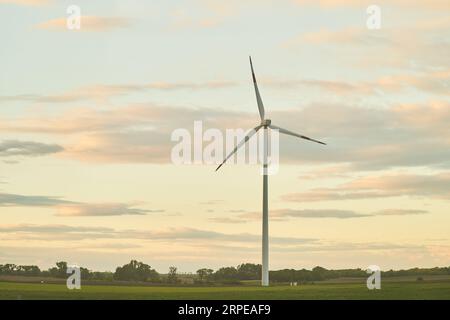 Éoliennes pour la production d'énergie électrique en Hongrie Banque D'Images