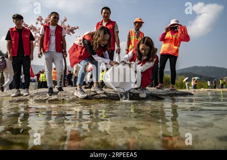 (190826) -- YUXI, 26 août 2019 -- des volontaires relâchent des alevins dans le lac Fuxian à Yuxi, dans la province du Yunnan du sud-ouest de la Chine, 26 août 2019. En 2005, le 26 août a été désigné Journée d action pour la protection du lac Fuxian afin de sensibiliser aux questions de protection de l environnement du lac. Environ 220 000 alevins de poissons indigènes Kanglang ont été relâchés dans le lac lors de la Journée d'action de protection du lac Fuxian de 2019. ) CHINE-YUNNAN-FUXIAN LAKE-PROTECTION DE L'ENVIRONNEMENT (CN) JIANGXWENYAO PUBLICATIONXNOTXINXCHN Banque D'Images