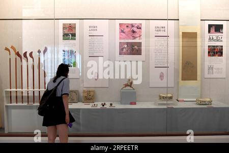 (190827) -- ZHENGZHOU, 27 août 2019 -- Un visiteur voit des expositions lors de l'exposition sur le patrimoine sportif chinois qui s'est tenue au Musée Zhengzhou à Zhengzhou, capitale de la province du Henan en Chine centrale, le 26 août 2019. Environ 175 expositions ont été exposées pendant l'exposition, qui a débuté ici lundi. ) CHINE-ZHENGZHOU-EXPOSITION-SPORTS CHINOIS ANCIENS (CN) LIXAN PUBLICATIONXNOTXINXCHN Banque D'Images