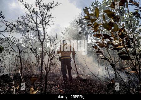 (190828) -- MANICORE, 28 août 2019 -- Un travailleur de l'Institut brésilien de l'environnement et des ressources naturelles renouvelables combat un incendie à Manicore, dans l'État d'Amazonas, au Brésil, le 26 août 2019. BRAZIL OUT (Gabriela Biro/Agencia Estado/document via Xinhua) BRAZIL-MANICORE-AMAZON-FIRE AE PUBLICATIONxNOTxINxCHN Banque D'Images