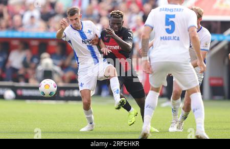 Leverkusen, Deutschland. 02 septembre 2023. Firo : 02.09.2023 1.Bundesliga première division saison 2023/24 Bayer 04 Leverkusen -Darmstadt 98 duels Victor Boniface Bayer crédit : dpa/Alamy Live News Banque D'Images