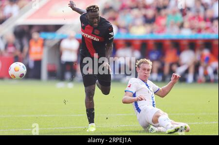 Leverkusen, Deutschland. 02 septembre 2023. Firo : 02.09.2023 1.Bundesliga première division saison 2023/24 Bayer 04 Leverkusen -Darmstadt 98 duels Victor Boniface Bayer crédit : dpa/Alamy Live News Banque D'Images