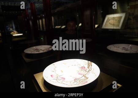 (190902) -- BEIJING, 2 septembre 2019 -- les gens visitent une exposition sur le thème botanique au Musée du Palais à Beijing, capitale de la Chine, le 2 septembre 2019.) CHINE-BEIJING-PALAIS MUSÉE-EXPOSITION (CN) JINXLIANGKUAI PUBLICATIONXNOTXINXCHN Banque D'Images