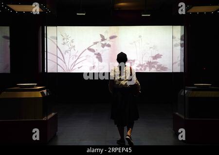 (190902) -- BEIJING, 2 septembre 2019 -- les gens visitent une exposition sur le thème botanique au Musée du Palais à Beijing, capitale de la Chine, le 2 septembre 2019.) CHINE-BEIJING-PALAIS MUSÉE-EXPOSITION (CN) JINXLIANGKUAI PUBLICATIONXNOTXINXCHN Banque D'Images