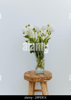 Bouquet de fleurs de dahlia blanc dans un vase en verre sur un tabouret vintage en bois contre le mur blanc. Vue avant. Espace de copie Banque D'Images