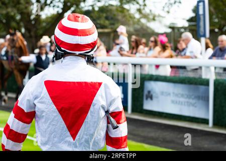 Le jockey Ben Curtis pré-course à Beverley Banque D'Images