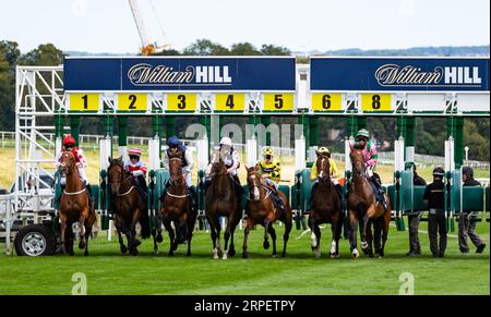 Les stands de départ s’ouvrent et les coureurs se dirigent vers le handicap de 1m 4f à l’hippodrome de Beverley. Banque D'Images