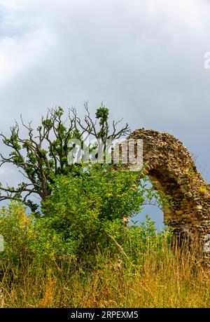 Ruines de l'église Saint-Sauveur en usage du 12e siècle jusqu'en 1705 près de Surlingham dans les Norfolk Broads dans l'East Anglia Angleterre Royaume-Uni. Banque D'Images