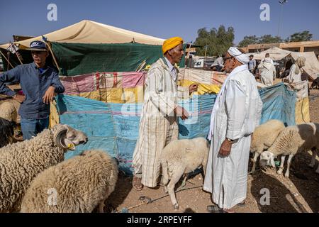 Maroc - Tinghir - marché de l'élevage - Souk - avant l'Aid El Adha (Eid El Kebir) Banque D'Images