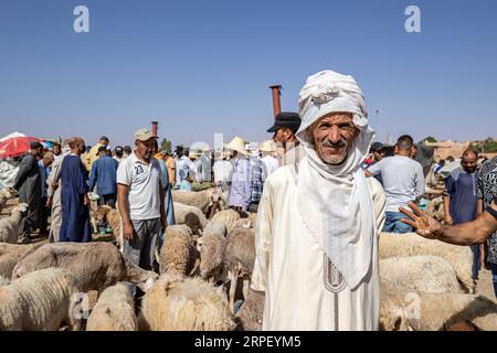 Maroc - Tinghir - marché de l'élevage - Souk - avant l'Aid El Adha (Eid El Kebir) Banque D'Images
