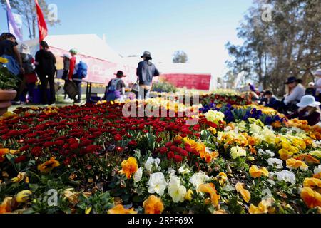 (190914) -- CANBERRA, 14 septembre 2019 -- les gens visitent Floriade, un festival annuel de fleurs et de divertissement, au Commonwealth Park à Canberra, Australie, le 14 septembre 2019. Le festival ouvre du 14 septembre au 13 octobre à Canberra. (Photo de /Xinhua) AUSTRALIE-CANBERRA-FLORIADE ChuxChen PUBLICATIONxNOTxINxCHN Banque D'Images