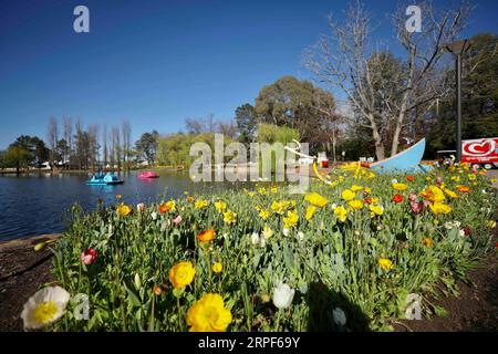 (190914) -- CANBERRA, 14 septembre 2019 -- les gens visitent Floriade, un festival annuel de fleurs et de divertissement, au Commonwealth Park à Canberra, Australie, le 14 septembre 2019. Le festival ouvre du 14 septembre au 13 octobre à Canberra. (Photo de /Xinhua) AUSTRALIE-CANBERRA-FLORIADE ChuxChen PUBLICATIONxNOTxINxCHN Banque D'Images