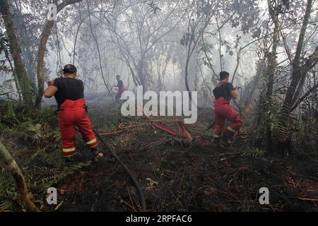 Actualités Bilder des Tages (190918) -- RIAU, 18 septembre 2019 -- des pompiers tentent d'éteindre un incendie de forêt à Riau, Indonésie, 18 septembre 2019. (Photo de /Xinhua) INDONÉSIE-RIAU-FEU DE FORÊT HadlyxVavaldi PUBLICATIONxNOTxINxCHN Banque D'Images