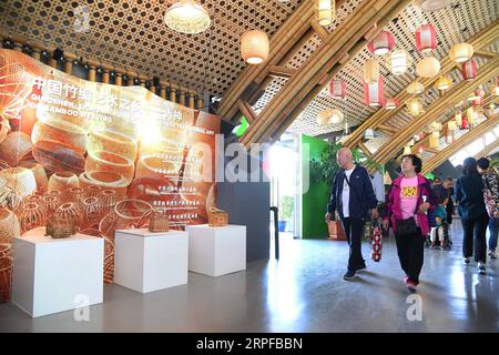 190919 -- BEIJING, le 19 septembre 2019 -- visite du jardin INBAR de l'Organisation internationale du bambou et du rotin à l'exposition internationale d'horticulture de Beijing, le 19 septembre 2019. Un forum est organisé par INBAR ici pour promouvoir l'utilisation du bambou et du rotin pour le développement durable. CHINA-BEIJING-HORTICULTURE EXPO-INBAR-FORUM CN RENXCHAO PUBLICATIONXNOTXINXCHN Banque D'Images