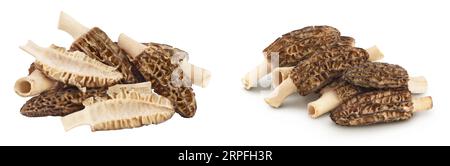 champignon morel brut isolé sur fond blanc avec une pleine profondeur de champ Banque D'Images