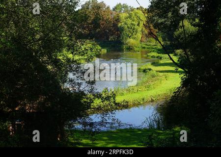 Une vue de la rivière Test près de Chilbolton Banque D'Images