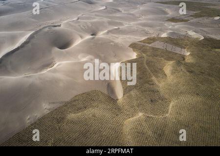 190927 -- PÉKIN, 27 septembre 2019 -- une photo prise le 28 mars 2019 montre des barrières de sable dans le cadre de l'initiative Forêt de fourmis dans le désert de Tengger, dans la province du Gansu, au nord-ouest de la Chine. Fourmis Forêt/document via Xinhua Xinhua titres : planter 120 mln arbres par jeu mobile : Chine s vert, révolution en ligne YinxXiaosheng PUBLICATIONxNOTxINxCHN Banque D'Images