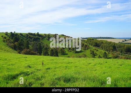 Une vue sur Combe Hole à Cannon Hill Down Banque D'Images