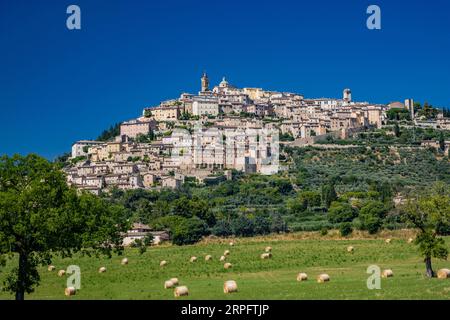 Vue panoramique sur le beau village de Trevi, dans la province de Pérouse, Ombrie, Italie. Les anciennes maisons en pierre de la ville, perchées sur la colline Banque D'Images