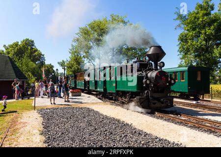 Chemin de fer à voie étroite Nagycenki Szechenyi Muzeumvasut. Train de voyageurs tiré par une locomotive à vapeur Andras quittant la gare de Kastely, Nagycenk, Hongrie Banque D'Images