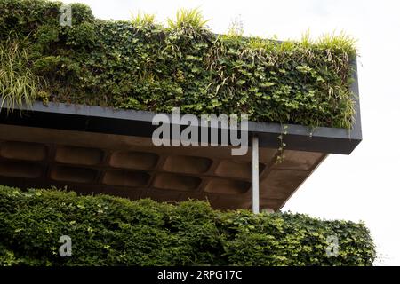 Green Walls, Bell court, Stratford-upon-Avon, Royaume-Uni Banque D'Images