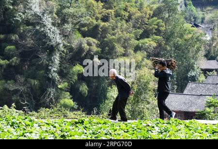 191005 -- TONGREN, 5 octobre 2019 -- Pan Rongdong R aide un villageois à transporter un tas de bois de chauffage au village de Wengbei dans le canton d'Aozhai du district de Wanshan, dans la ville de Tongren, province du Guizhou au sud-ouest de la Chine, 24 septembre 2019. PAN Rongdong est membre du personnel du centre de soins de santé maternelle et infantile dans le district de Wanshan à Tongren. En septembre 2017, lorsque Pan a été envoyé au village de Wengbei dans le canton d'Aozhai à Wanshan pour travailler sur la réduction de la pauvreté, il a fait la connaissance de Tan Lifei, qui est le directeur de la station anti-pauvreté d'Aozhai. Au cours de leur travail sur la réduction ciblée de la pauvreté Banque D'Images