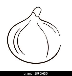Style dessin au trait de l'icône Fig. Fruit tiré à la main. Illustration de style gravée pour la nourriture d'été. Idéal pour étiquette, affiche, impression, menu. Illustration de Vecteur