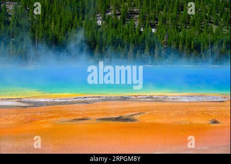 Les couleurs vives de Grand Prismatic Spring dans le parc national de Yellowstone, États-Unis Banque D'Images