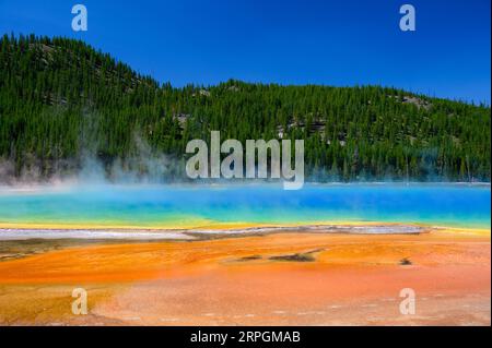 Les couleurs vives de Grand Prismatic Spring dans le parc national de Yellowstone, États-Unis Banque D'Images