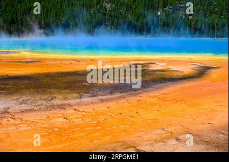 Les couleurs vives de Grand Prismatic Spring dans le parc national de Yellowstone, États-Unis Banque D'Images