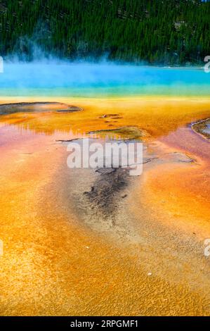 Les couleurs vives de Grand Prismatic Spring dans le parc national de Yellowstone, États-Unis Banque D'Images