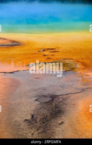 Les couleurs vives de Grand Prismatic Spring dans le parc national de Yellowstone, États-Unis Banque D'Images