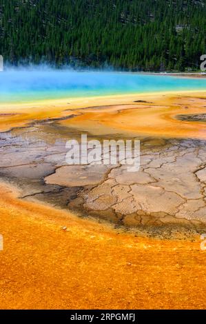 Les couleurs vives de Grand Prismatic Spring dans le parc national de Yellowstone, États-Unis Banque D'Images