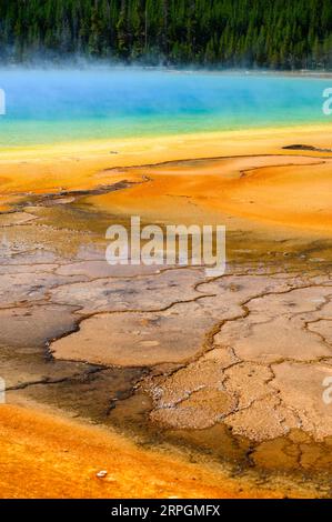 Les couleurs vives de Grand Prismatic Spring dans le parc national de Yellowstone, États-Unis Banque D'Images