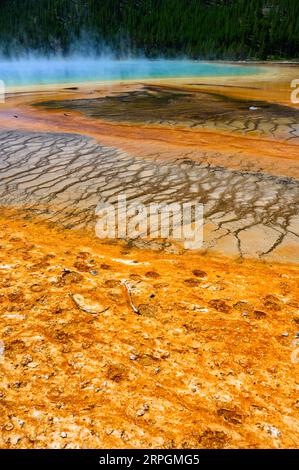 Les couleurs vives de Grand Prismatic Spring dans le parc national de Yellowstone, États-Unis Banque D'Images