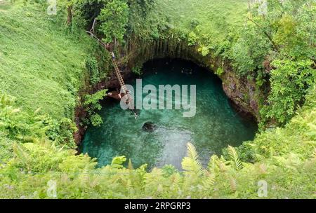 191021 -- APIA, 21 octobre 2019 -- les gens nagent dans la tranchée océanique de Sua, l'une des attractions touristiques les plus célèbres de Samoa, le 19 octobre 2019. SAMOA-APIA-SCENERY GuoxLei PUBLICATIONxNOTxINxCHN Banque D'Images