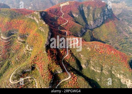 Bilder des Jahres 2019, News 10 Oktober 191023 -- SHAHE, 23 octobre 2019 Xinhua -- une photo aérienne prise le 23 octobre 2019 montre le paysage d'automne de la montagne Jiguan à Shahe, dans la province du Hebei du nord de la Chine. Xinhua/Mu Yu CHINA-HEBEI-SHAHE-AUTUMN SCENERYCN PUBLICATIONxNOTxINxCHN Banque D'Images