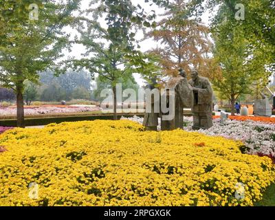 191024 -- BEIJING, le 24 octobre 2019 -- une photo mobile montre le chrysanthème au port floral international de Beijing dans le district de Shunyi à Beijing, capitale de la Chine, le 19 octobre 2019. BeijingCandidCHINA-BEIJING-CHRYSANTHÈME CN WeixMengjia PUBLICATIONxNOTxINxCHN Banque D'Images