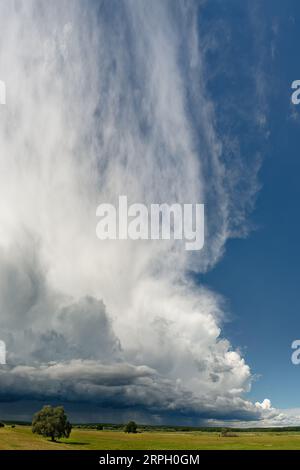 Violent front d'orage avec formation de nuages menaçants, d'où tombent partiellement de la pluie, sur un paysage plat de plaine inondable avec prairies et tr unique Banque D'Images