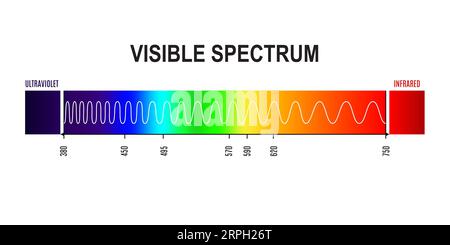 Longueur d'onde, onde du spectre de la lumière visible de l'ultraviolet à la fréquence infrarouge. Physique et infographie vectorielle électromagnétique avec le diagramme de gradient de couleurs arc-en-ciel ou diagramme de la lumière visible de l'œil humain Illustration de Vecteur