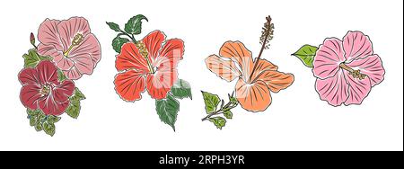Ensemble de fleurs d'hibiscus vecteur coloré isolé. Illustration de Vecteur