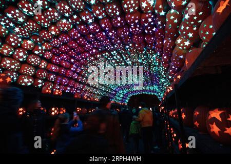 191030 -- NEW YORK, le 30 octobre 2019 -- les visiteurs voient les lanternes Jack O illuminées au Great Jack O Lantern Blaze qui s'est tenu à Croton-on-Hudson dans l'État de New York, aux États-Unis, le 29 octobre 2019. Plus de 7 000 lanternes Jack O illuminées, toutes conçues et sculptées à la main par des artisans, sont exposées pendant le salon, qui devrait attirer plus de 180 000 000 visiteurs cette année. US-NEW-YORK-CITROUILLE-LANTERNE WangxYing PUBLICATIONxNOTxINxCHN Banque D'Images