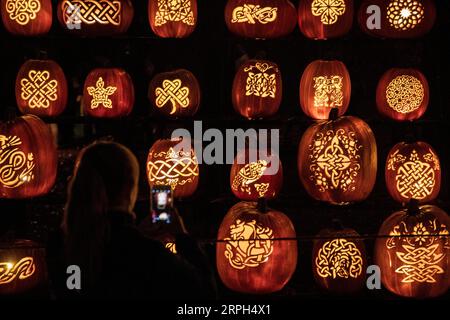 191030 -- NEW YORK, le 30 octobre 2019 -- Un visiteur prend des photos des lanternes Jack O illuminées lors du Great Jack O Lantern Blaze tenu à Croton-on-Hudson dans l'État de New York, aux États-Unis, le 29 octobre 2019. Plus de 7 000 lanternes Jack O illuminées, toutes conçues et sculptées à la main par des artisans, sont exposées pendant le salon, qui devrait attirer plus de 180 000 000 visiteurs cette année. US-NEW-YORK-CITROUILLE-LANTERNE WangxYing PUBLICATIONxNOTxINxCHN Banque D'Images