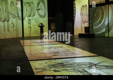 191031 -- SAO PAULO, 31 octobre 2019 Xinhua -- les gens assistent à l'avant-première de l'exposition Leonardo da Vinci - 500 ans de génie à mis Experience à Sao Paulo, Brésil, le 30 octobre 2019. L’exposition est une expérience immersive présentée à travers 18 espaces thématiques et sera ouverte au public du 2 novembre au 1 mars 2020. Xinhua/Rahel Patrasso BRÉSIL-SAO PAULO-EXPOSITION CN PUBLICATIONxNOTxINxCHN Banque D'Images