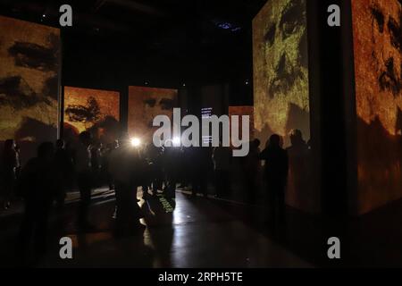 191031 -- SAO PAULO, 31 octobre 2019 Xinhua -- les gens assistent à l'avant-première de l'exposition Leonardo da Vinci - 500 ans de génie à mis Experience à Sao Paulo, Brésil, le 30 octobre 2019. L’exposition est une expérience immersive présentée à travers 18 espaces thématiques et sera ouverte au public du 2 novembre au 1 mars 2020. Xinhua/Rahel Patrasso BRÉSIL-SAO PAULO-EXPOSITION CN PUBLICATIONxNOTxINxCHN Banque D'Images